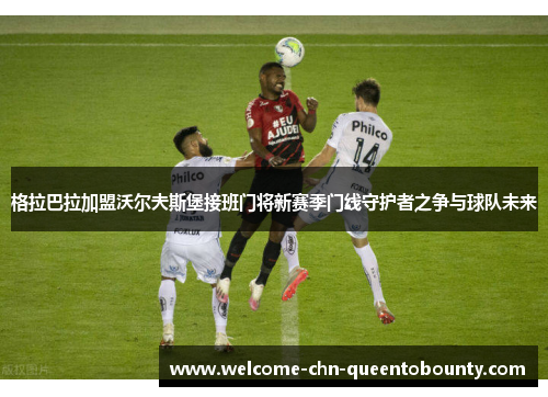 格拉巴拉加盟沃尔夫斯堡接班门将新赛季门线守护者之争与球队未来 格拉巴拉加盟沃尔夫斯堡接班门将新赛季门线守护者之争与球队未来
