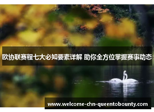 欧协联赛程七大必知要素详解 助你全方位掌握赛事动态 欧协联赛程七大必知要素详解 助你全方位掌握赛事动态